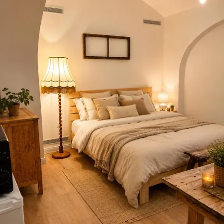 Historic & Fireplace - Wenceslas Square Apartament